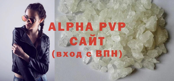 стафф Алексин