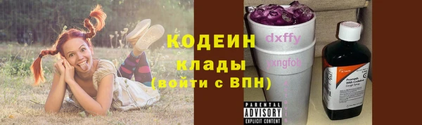 стафф Алексин