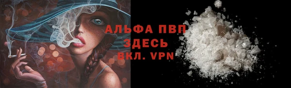 стафф Алексин
