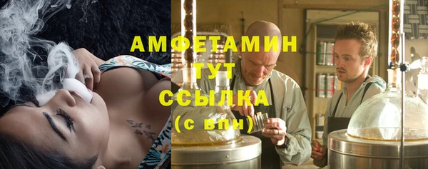 стафф Алексин